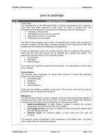 A Guide To Advanced Java - Java.io package docx