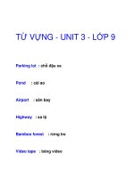 TỪ VỰNG - UNIT 3 - LỚP 9 doc