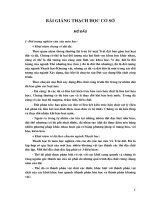 BÀI GIẢNG THẠCH HỌC CƠ SỞ pptx