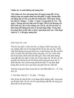 Chăm sóc và nuôi dưỡng nái mang thai pot