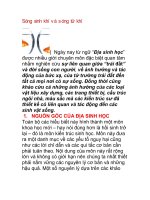 Sóng sinh khí v à s óng tử khí pot