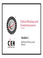 Ethical hacking and countermeasures - phần 50 docx