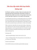 Sữa chua đậu nành chữa loạn khuẩn đường ruột pps