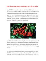 Một số giải pháp nâng cao hiệu quả sản xuất vải thiều ppsx