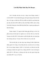 Loét Bộ Phận Sinh Dục Do Herpes potx