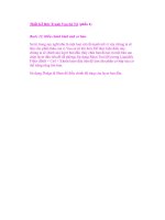 Thiết Kế Bức Tranh Vua Sử Tử (phần 4) pot