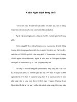 Chích Ngừa Bệnh Sưng Phổi potx