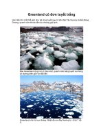 Greenland cô đơn tuyết trắng pot