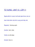 TỪ VỰNG - UNIT 13 - LỚP 11 potx