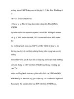 Quá trính hình thành viêm gan mãn tính part6 potx