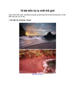 10 bãi biển kỳ lạ nhất thế giới pdf
