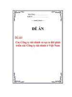 Đề án Các Công ty tài chính và sự ra đời phát triển các Công ty tài chính ở Việt Nam