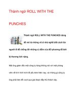 Thành ngữ ROLL WITH THE PUNCHES docx