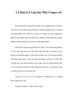 Cá Dưa (Cá Lạt) hay Pike Conger eel ppt