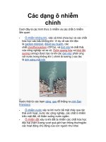 Các dạng ô nhiễm chính pps