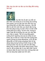 Hiệu ứng của cảm xúc tiêu cực tác động đến trường hào quang ppsx