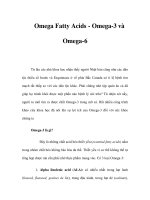 Omega Fatty Acids - Omega-3 và Omega-6 doc