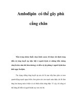 Amlodipin có thể gây phù cẳng chân potx