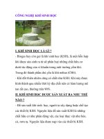 CÔNG NGHỆ KHÍ SINH HỌC I. KHÍ SINH HỌC LÀ GÌ ? ppsx