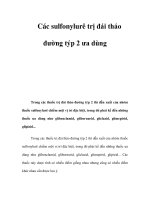 Các sulfonylurê trị đái tháo đường týp 2 ưa dùng potx