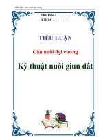 Tiểu luận: 