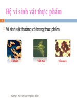 Hệ vi sinh vật thực phẩm potx