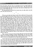 Giáo trình lịch sử kinh tế part 4 potx