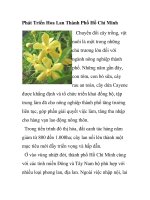 Phát Triển Hoa Lan Thành Phố Hồ Chí Minh pptx