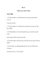 quá trình hình thành viêm gan mãn tính part1 ppsx