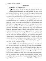 Cách đánh giá rừng Dẻ Hoàng hoa thám phần 1 pps