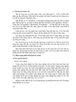 Chuyên Đề Địa Lý Kinh Tế Việt Nam - GVC Ths. Nguyễn Thị Vang phần 10 doc