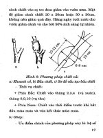 Kỹ Thuật Trồng Cây Ăn Quả Hiệu Quả Cao (Tập 1) - Nguyễn Đình Thiêm phần 3 pdf