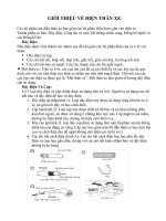 GIỚI THIỆU VỀ ĐIỆN THÂN XE pdf