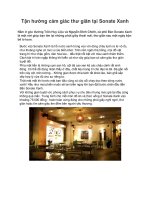 Tận hưởng cảm giác thư giãn tại Sonate Xanh pdf