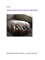 PHÒNG BỆNH ĐƯỜNG HÔ HẤP TRÊN HEO ppt