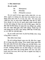 Kỹ Thuật Trồng Điều Năng Suất Cao - Lê Văn Thứng phần 7 ppt