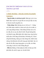 ỆNH TRUYỀN NHIỄM DO VI RUS GÂY RA THƯỜNG GẶP Ở DÊ pdf