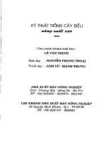 Kỹ Thuật Trồng Điều Năng Suất Cao - Lê Văn Thứng phần 10 doc
