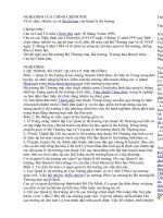 NGHỊ ĐỊNH CỦA CHÍNH CHÍNH PHỦ VỀ QUẢN LÝ THỊ TRƯỜNG pptx