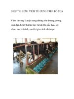 ĐIỀU TRỊ BỆNH VIÊM TỬ CUNG TRÊN BÒ SỮA ppt