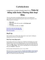Carbohydrates doc