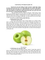 6 mùi hương có thể giúp bạn giảm cân