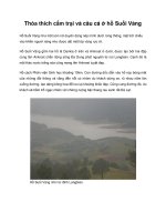 Thỏa thích cắm trại và câu cá ở hồ Suối Vàng pps