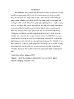 THỰC TRẠNG HOẠT ĐỘNG CTTC TẠI CÁC NGÂN HÀNG pps