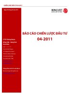 BÁO CÁO CHIẾN LƯỢC ĐẦU TƯ CÔNG TY CỔ PHẦN CHỨNG KHOÁN RỒNG VIỆT potx