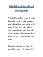 Các bệnh di truyền về Hêmôglôbin pps
