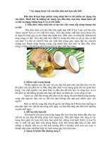 7 tác dụng của dầu dừa mà bạn nên biết