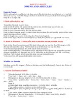 DANH T VÀ Ừ MẠO TỪ - NOUNS AND ARTICLES docx