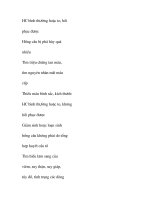 VPQ cấp và mãn tính trong điều trị UCS part6 pps