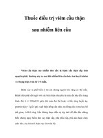 Thuốc điều trị viêm cầu thận sau nhiễm liên cầu docx